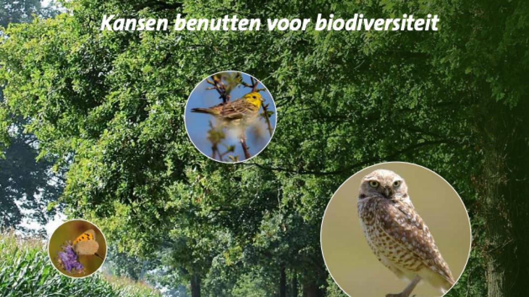 Lochem - Lochem Natuurlijk Kansen benutten voor biodiversiteit