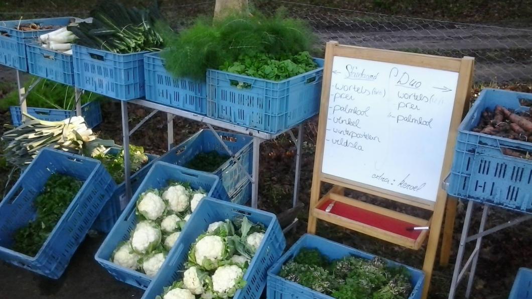 Permacultuurtuin