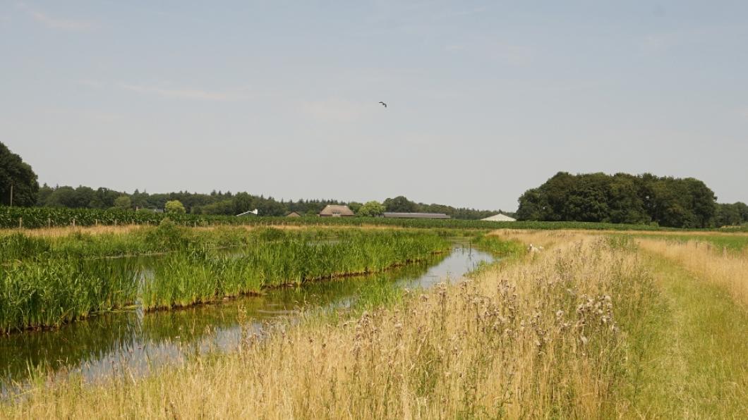 Binnenweg32.JPG
