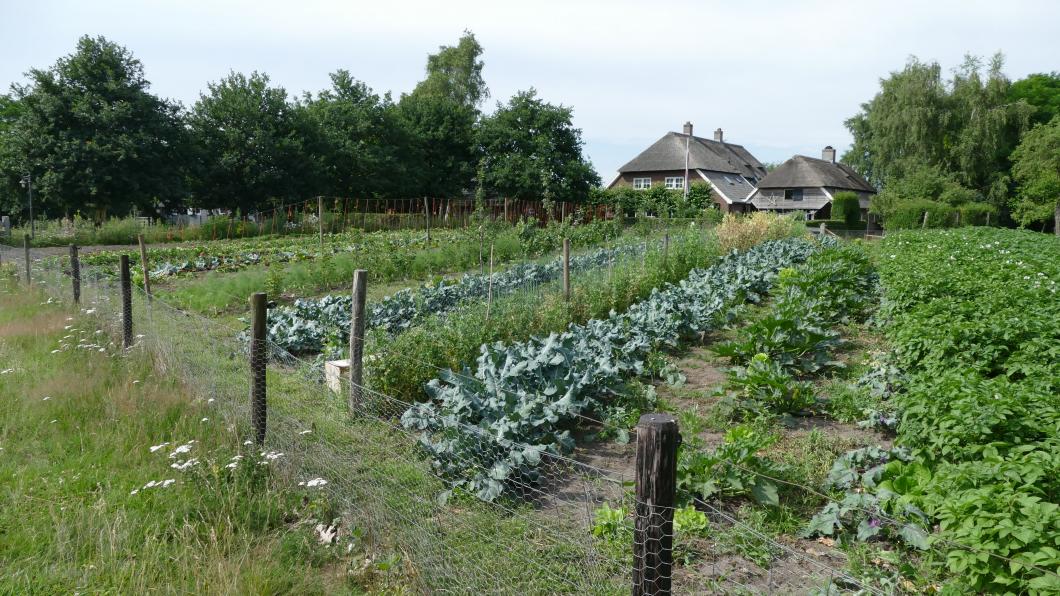 Tuin Willem 