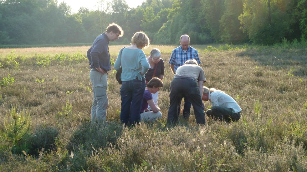 Hte lijkt wel of we in het buitenland zijn Stelkampsveld natuur natura2000 barchem groenlinks lochem