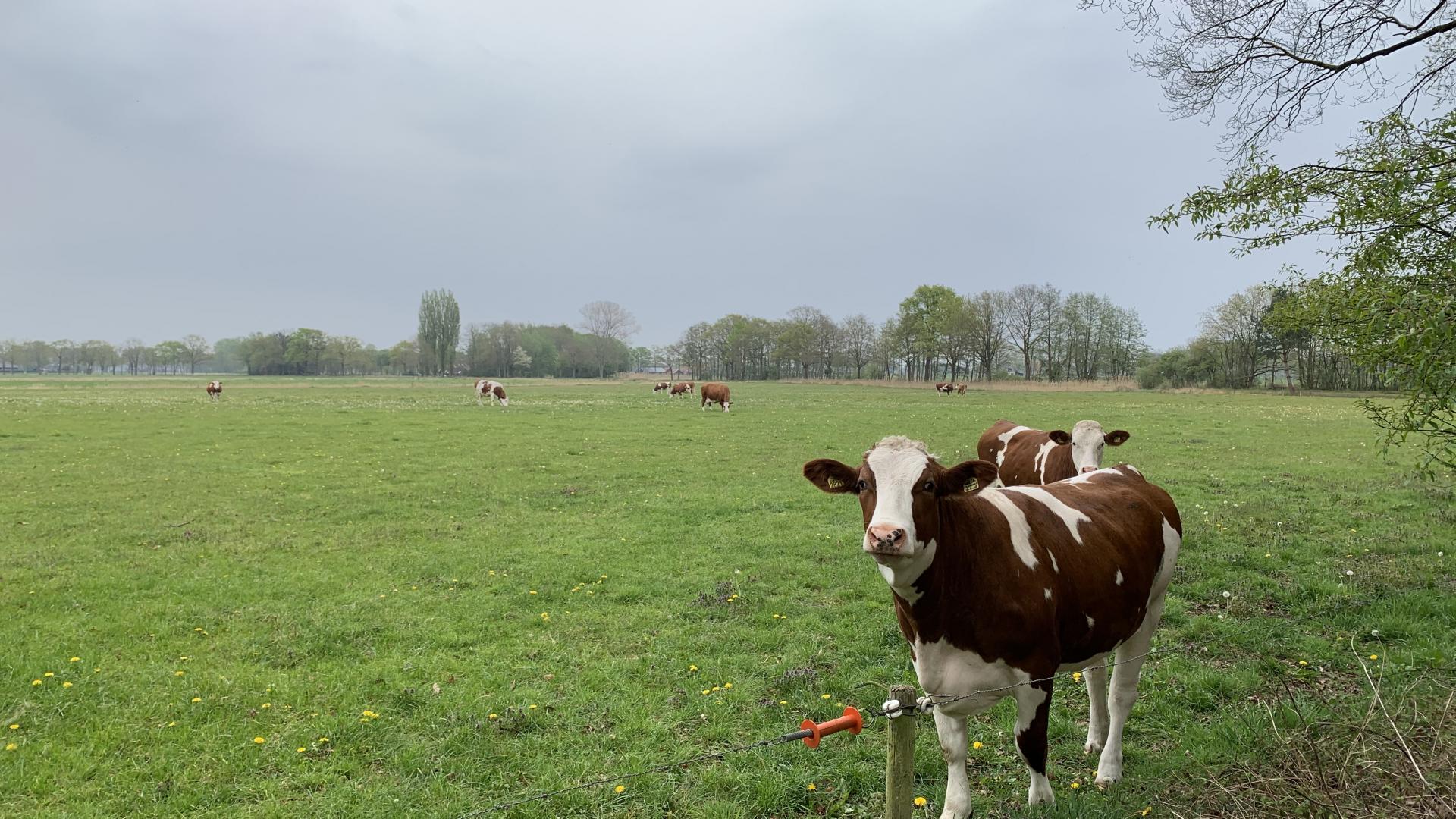 Lochem - Buitengebied