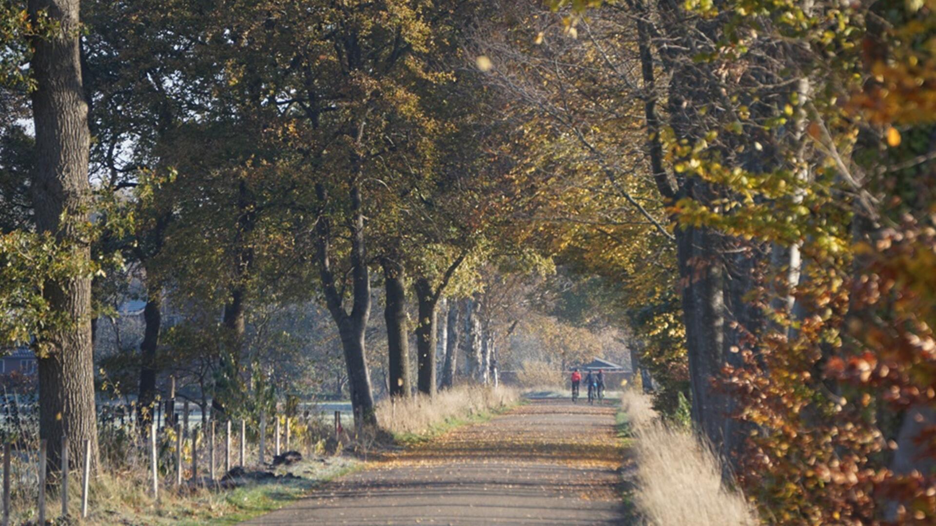 Verwoldseweg