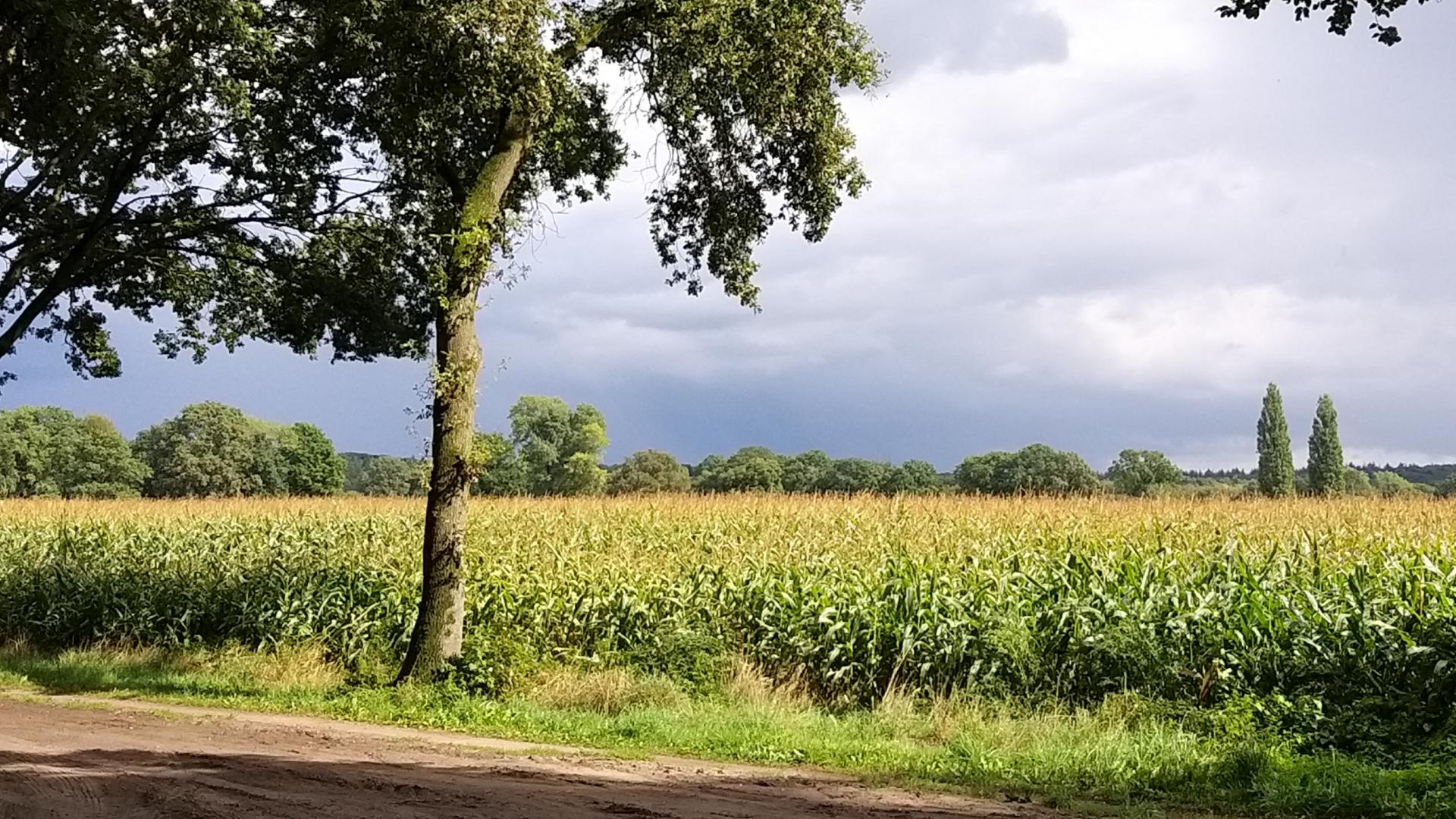 20190928_165931.jpg