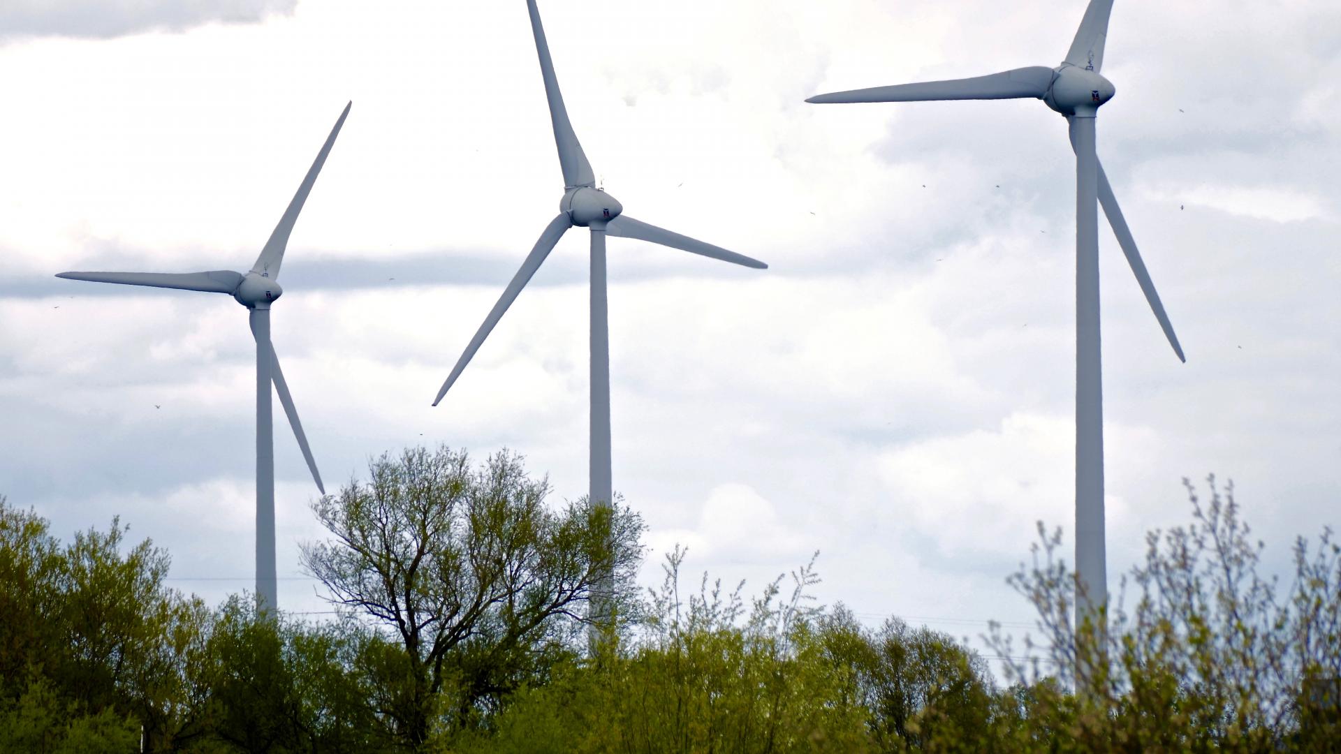 Windmolens Zutphen